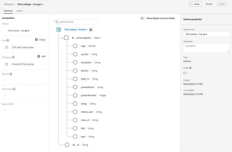 Lookup schema