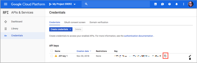 Google API Key Copy