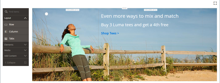 Sample Luma tee promotion