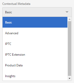 Contextual metadata component listing tabs of asset properties