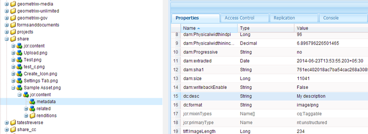 Set default description in metadata profile