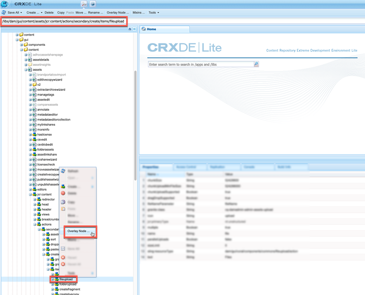 Overlay Node option