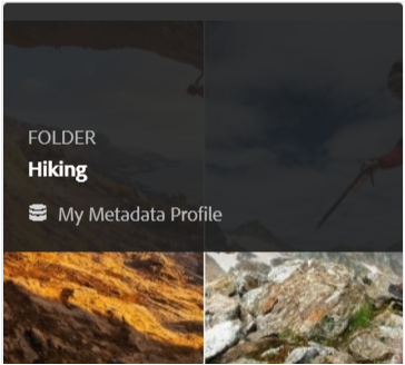 Card view displays the metadata profile applied to a folder