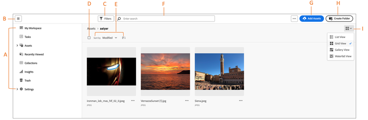 Assets view user interface