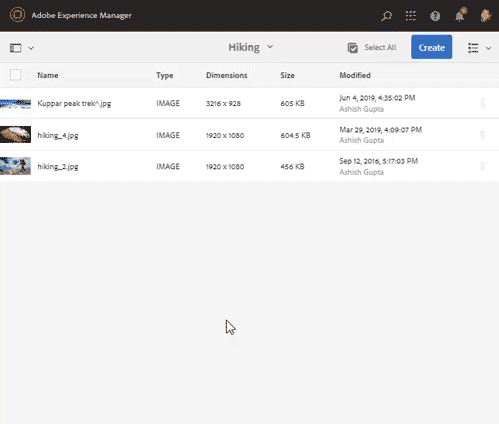 Sort timeline entries for an asset