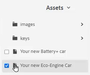 Assets Dropdown