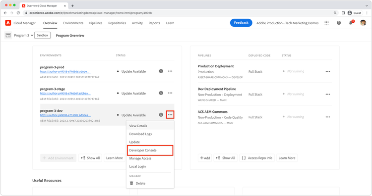 Navigate to Developer Console