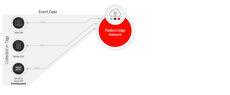 Tags, Web SDK, Mobile SDK