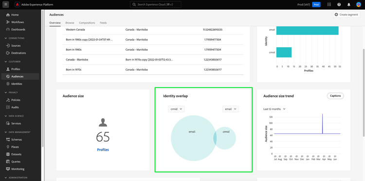 The Audiences dashboard overview with the Identity overlap widget highlighted.