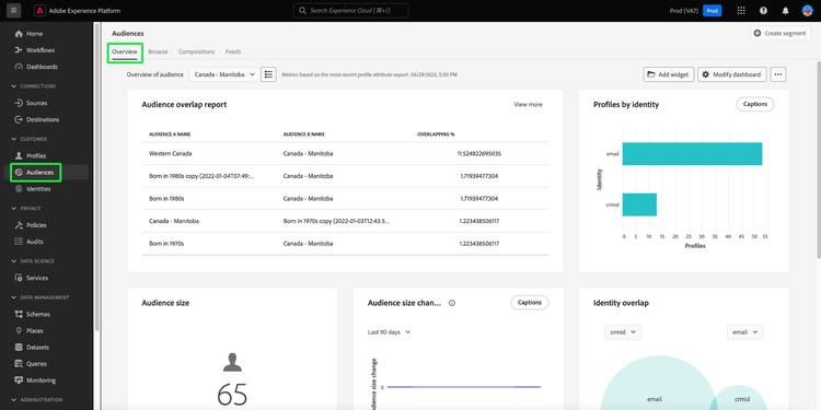 The Audiences dashboard Overview tab with Audiences and Overview highlighted.