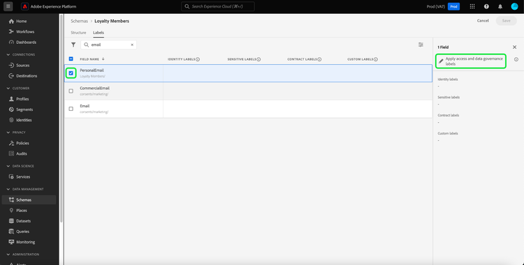 The Labels tab of the Schema workspace with a single schema field selected and Apply access and data governance labels highlighted.