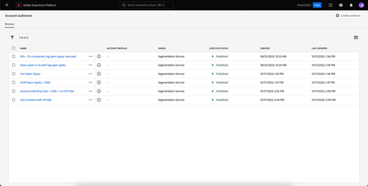 The account audiences belonging to the organization are displayed.