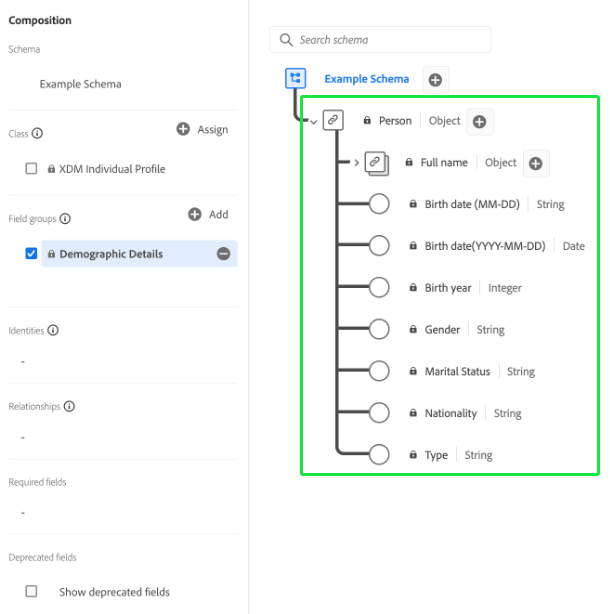 The Schema Editor with the Demographic Details field group highlighted in an example schema.