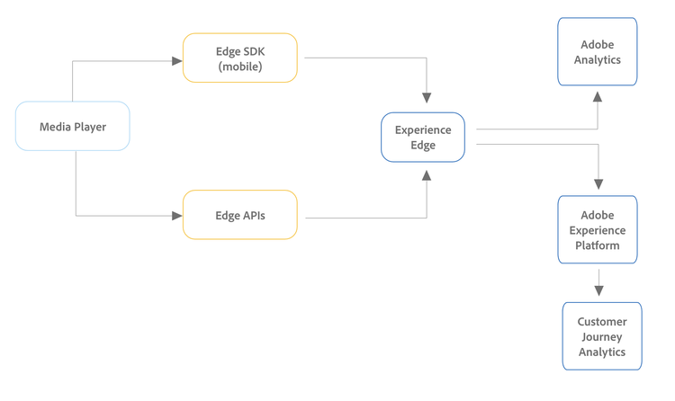 CJA workflow