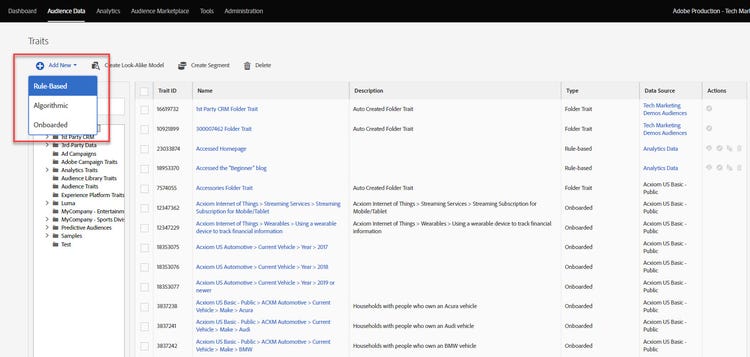 Adobe Experience Platform Audience Manager Rule-Based Trait