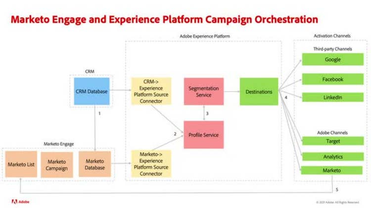 Orchestrate campaigns with Marketo Engage and Real-Time Customer Data Platform, B2B Edition